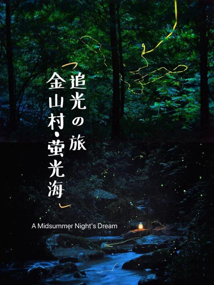 燃烧吧大脑免广告最新版