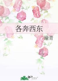 旅客航班上突发疾病 南航全力施救一路守护